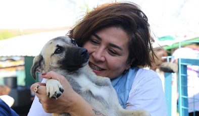 GSK Türkiye Çalışanları 1000 Sokak Hayvanına Umut Oldu