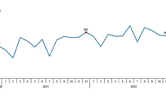 Tavuk eti üretimi 201 bin 123 ton, tavuk yumurtası üretimi 1,75 milyar adet olarak gerçekleşti