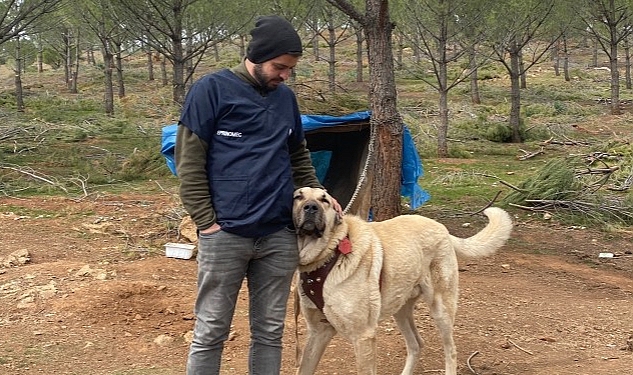 Antalya Büyükşehir Belediyesi  veterinerleri Gaziantep'te