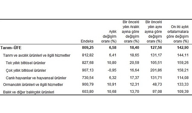 Tarım ürünleri üretici fiyat endeksi (Tarım-ÜFE) yıllık %127,56, aylık %6,58 arttı