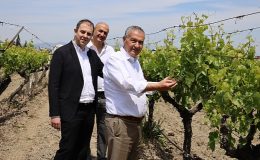 “NEİN (Hayır) demeyi öğrendiğimiz gün kuru üzümümüz para edecek"