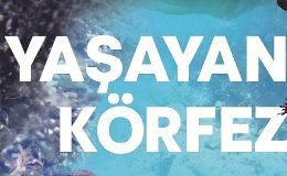 Yaşayan Körfez sergisi İzmirlilerle buluşuyor