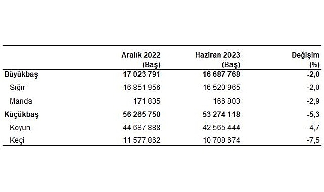 Büyükbaş hayvan sayısı 2023 yılı Haziran ayında 16 milyon 688 bin baş oldu