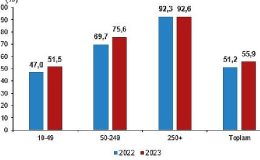 İnternet erişimine sahip girişimlerin oranı yüzde 96,0 oldu