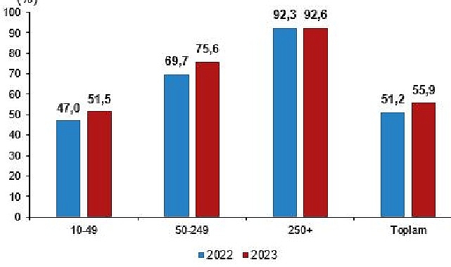 İnternet erişimine sahip girişimlerin oranı yüzde 96,0 oldu