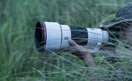 Sony Dünyanın En Hafif Geniş Diyaframlı Telefoto Prime Lensi G Master FE 300mm F2.8 GM OSS'yi Tanıttı