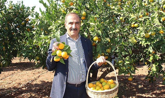 Narenciye sektörü KKTC'de görülen yeşillenme hastalığının Türkiye'ye sıçramaması için topyekûn mücadele istiyor